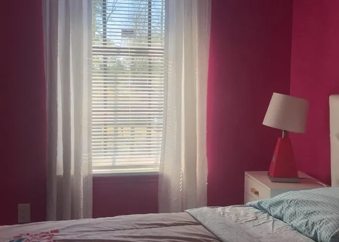 Seminole And Rattler Retreat And Game Day Getaway Apartment Tallahassee