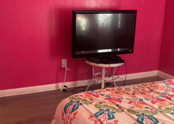 Seminole And Rattler Retreat And Game Day Getaway Apartment *